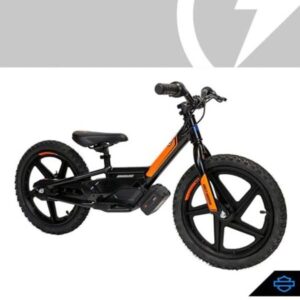 H-D IRONe BIKE